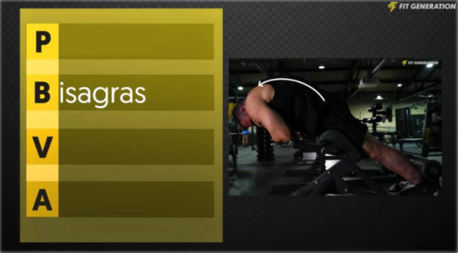¿Qué músculos entrenar para verse más grande? 21 Bisagras regla PBVA