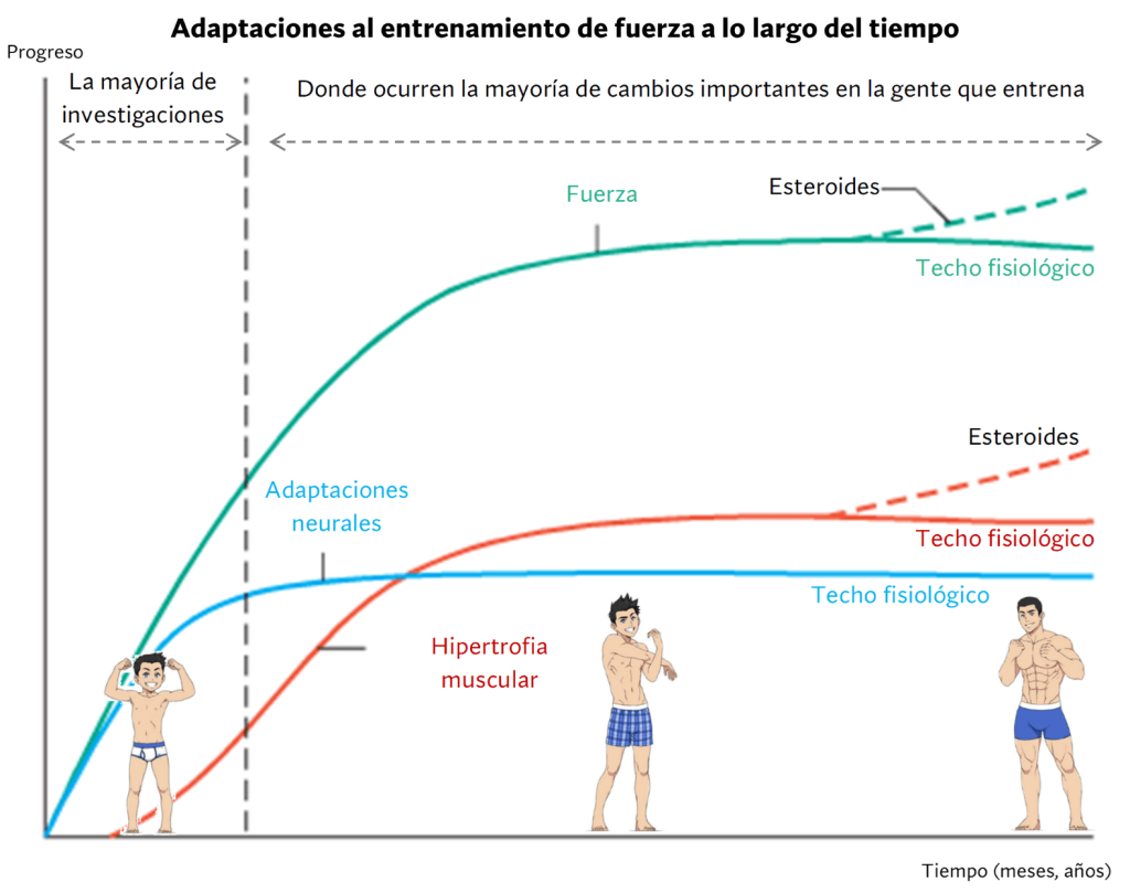 Cómo ordenar los ejercicios en el gym para entrenar mejor 7 Progreso en el entrenamiento con cargas