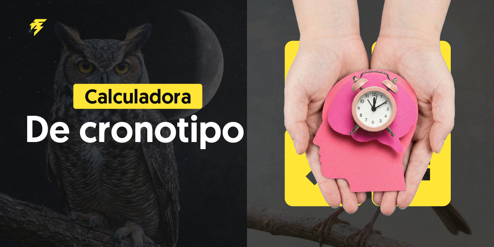 calculadora cronotipo