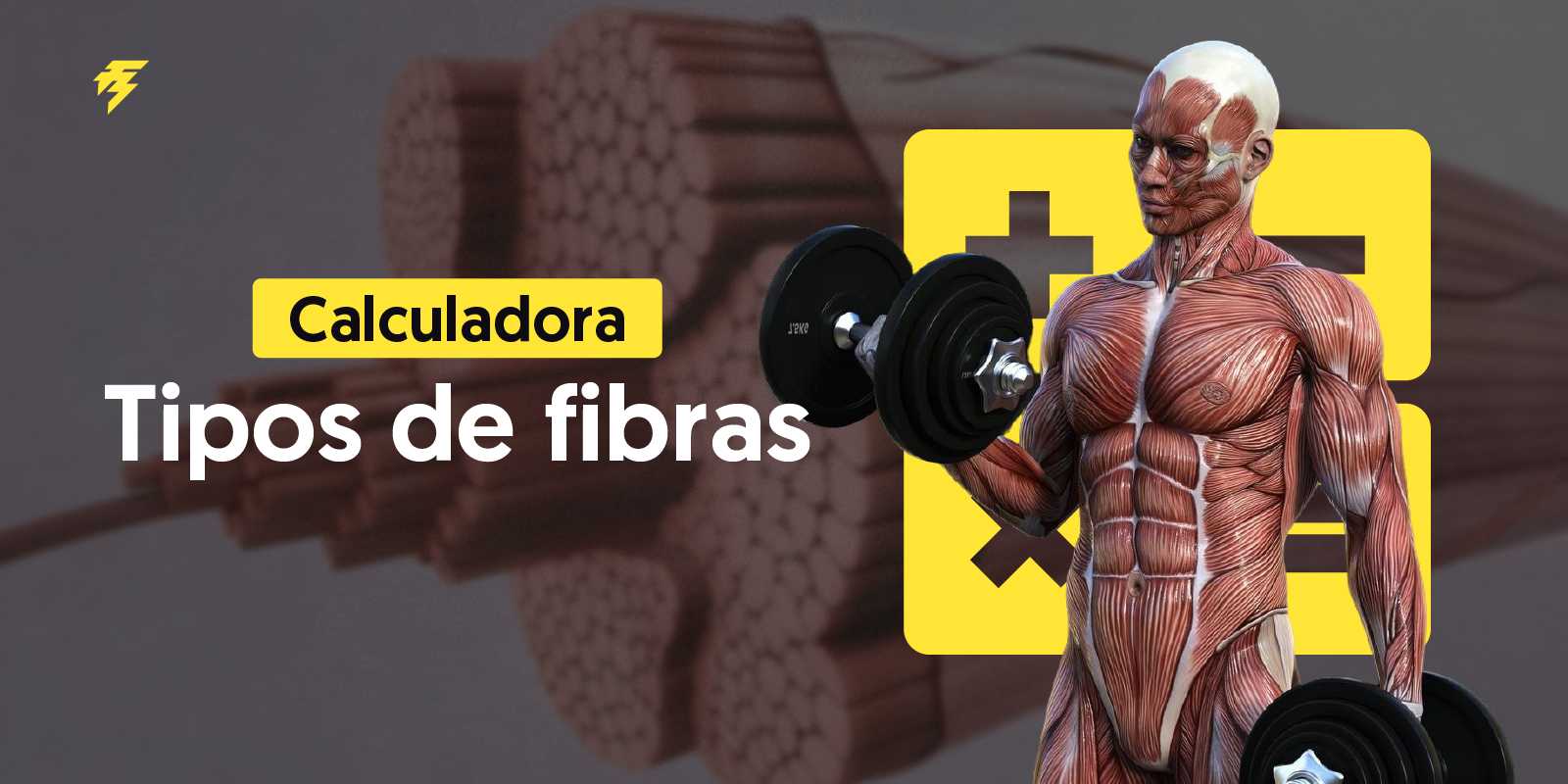 calculadora de tipo de fibras musculares