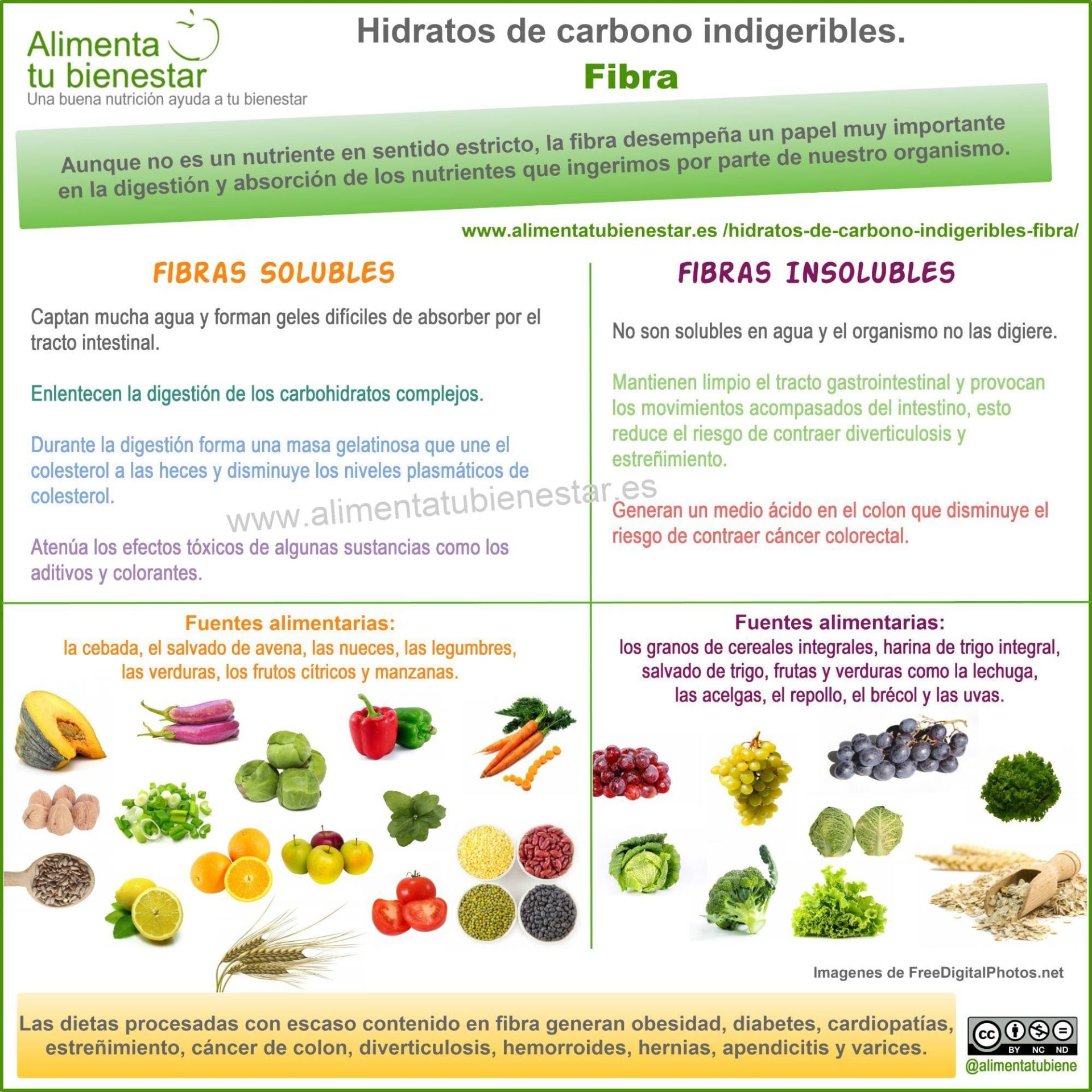 Hidratos de carbono indigeribles