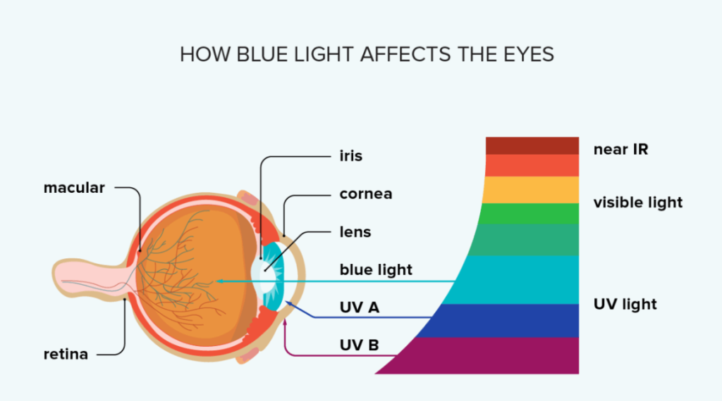 Acción gafas bloqueadoras de luz azul
