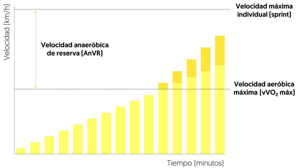 Velocidad Aeróbica Máxima Reserva