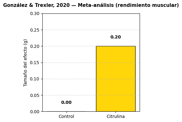 Estudio en rendimiento de fuerza