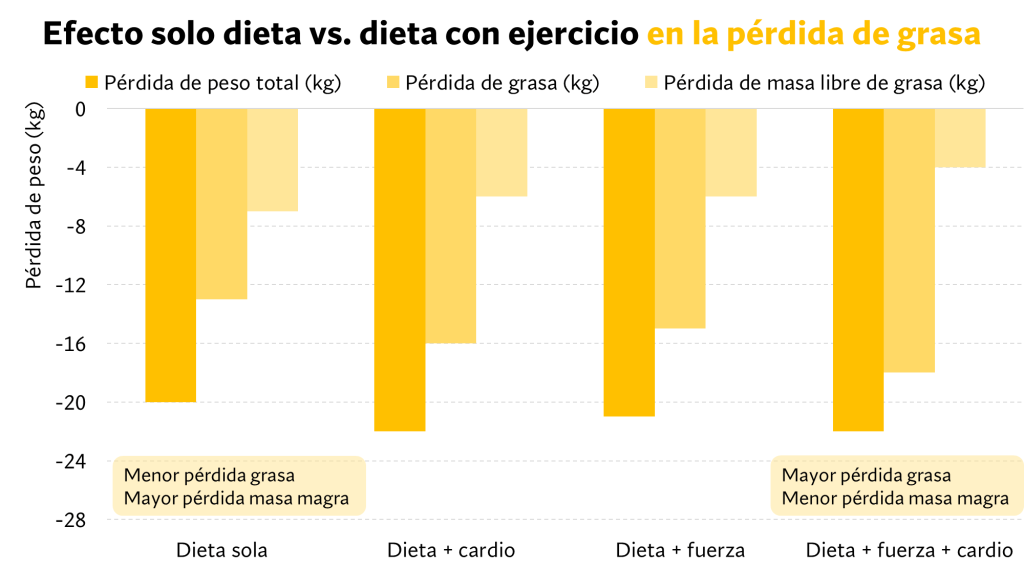 Mejores ejercicios de fuerza para quemar grasa 9 Efectos dieta vs dieta con ejercicio