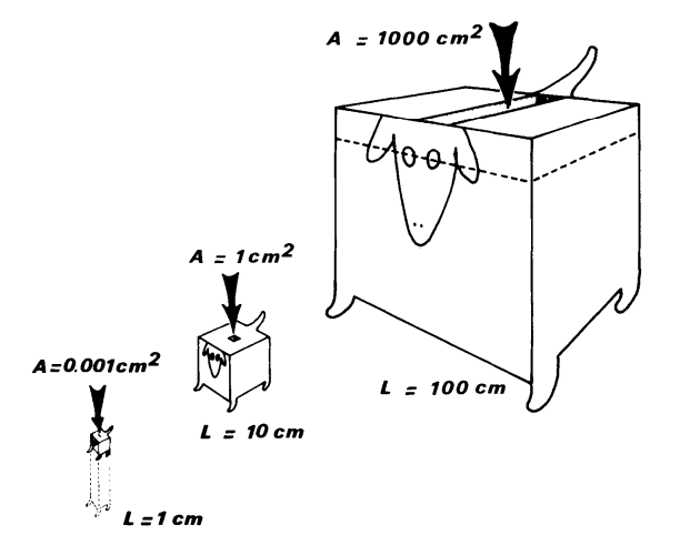 Cubos de distinto tamaño