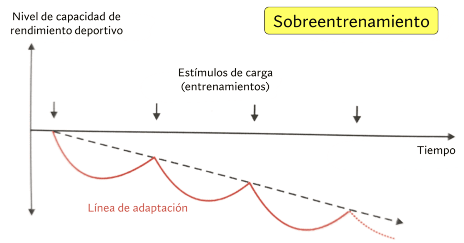 Representación gráfica sobreentrenamiento