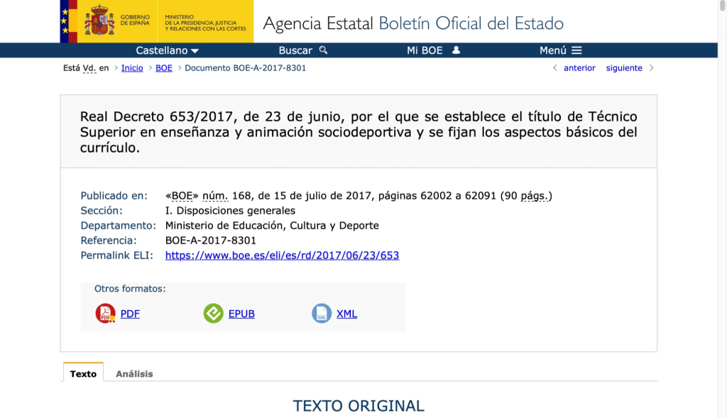 Técnico superior en enseñanza y animación