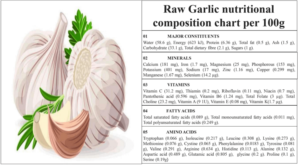 Composición nutricional del ajo crudo 