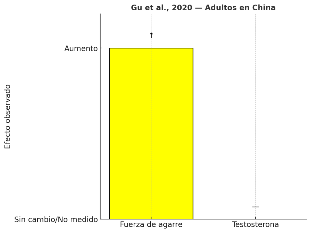 ajo 4