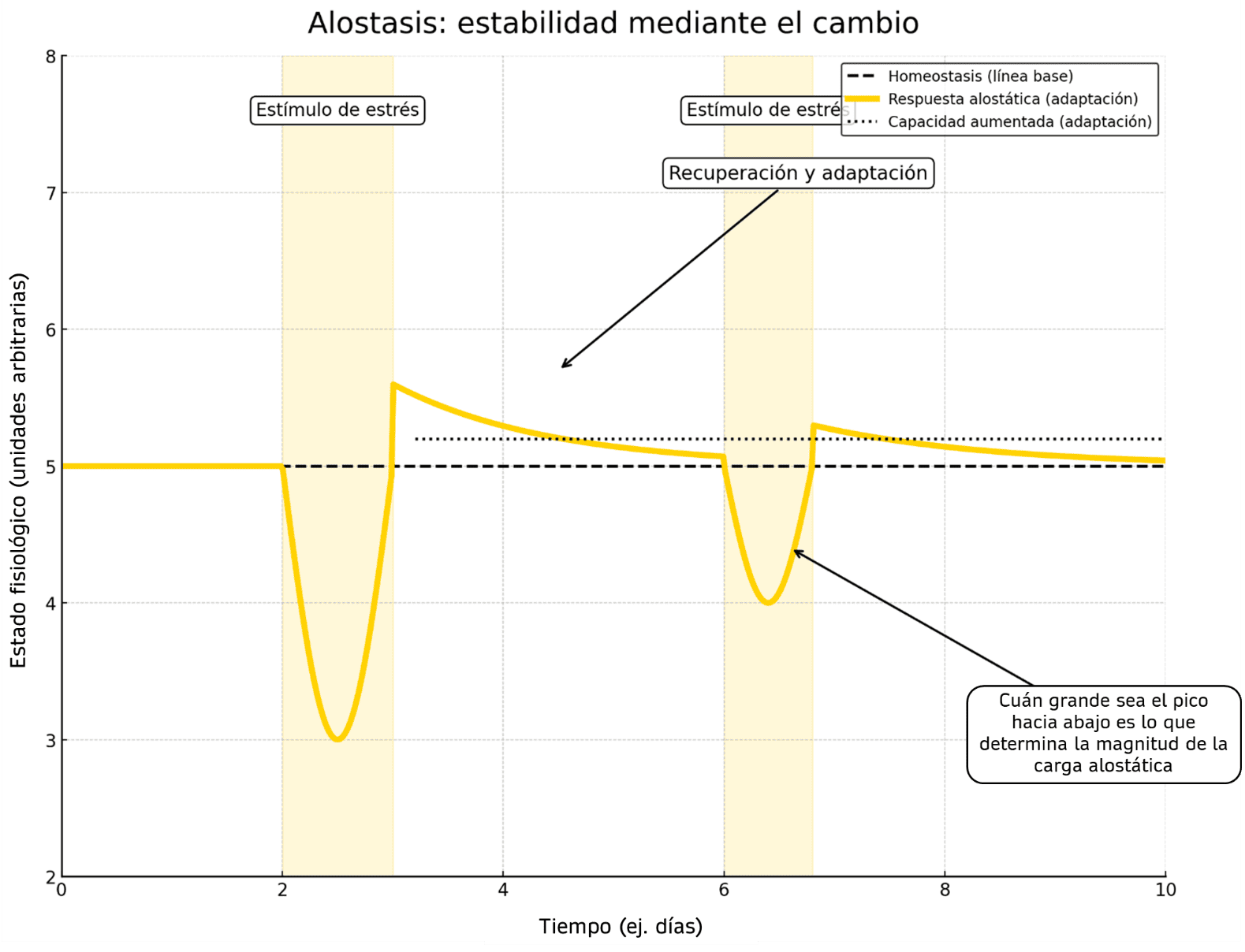 Alostasis estabilidad mediante el cambio