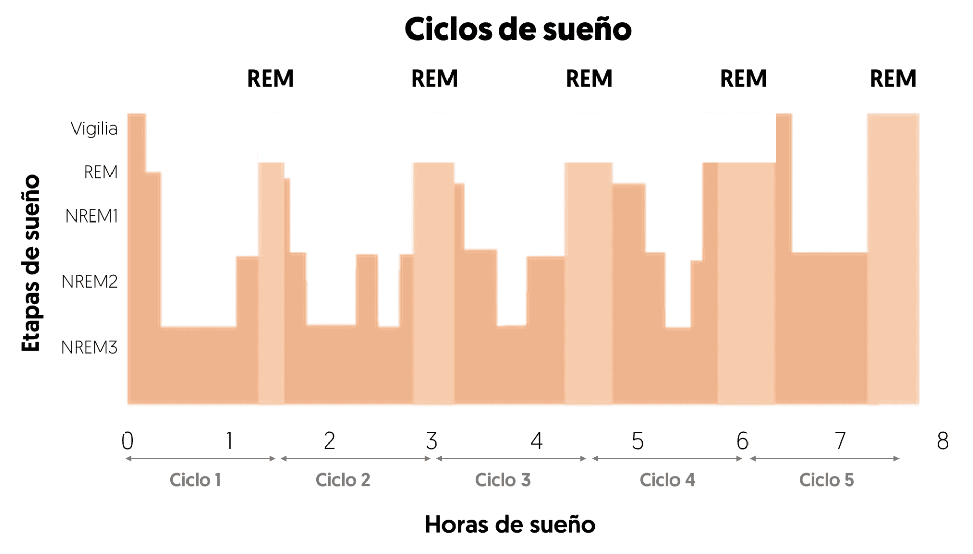 Gráfica ciclos de sueños