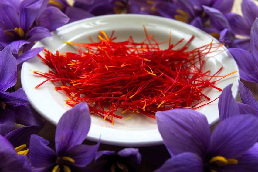 Los 5 mejores suplementos para reducir la ansiedad y el estrés 13 Crocus sativus