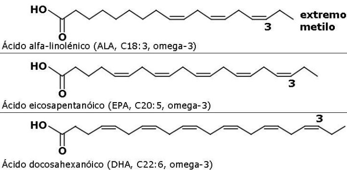 Estructura química de Omega 3