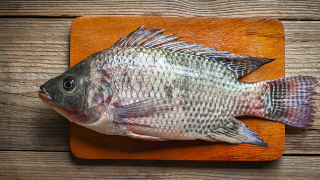 Pescados blancos magros