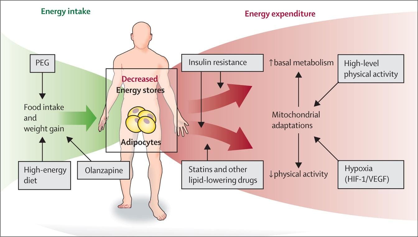 Gráfica ingesta energética