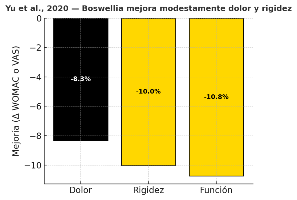 suplementos para huesos 7