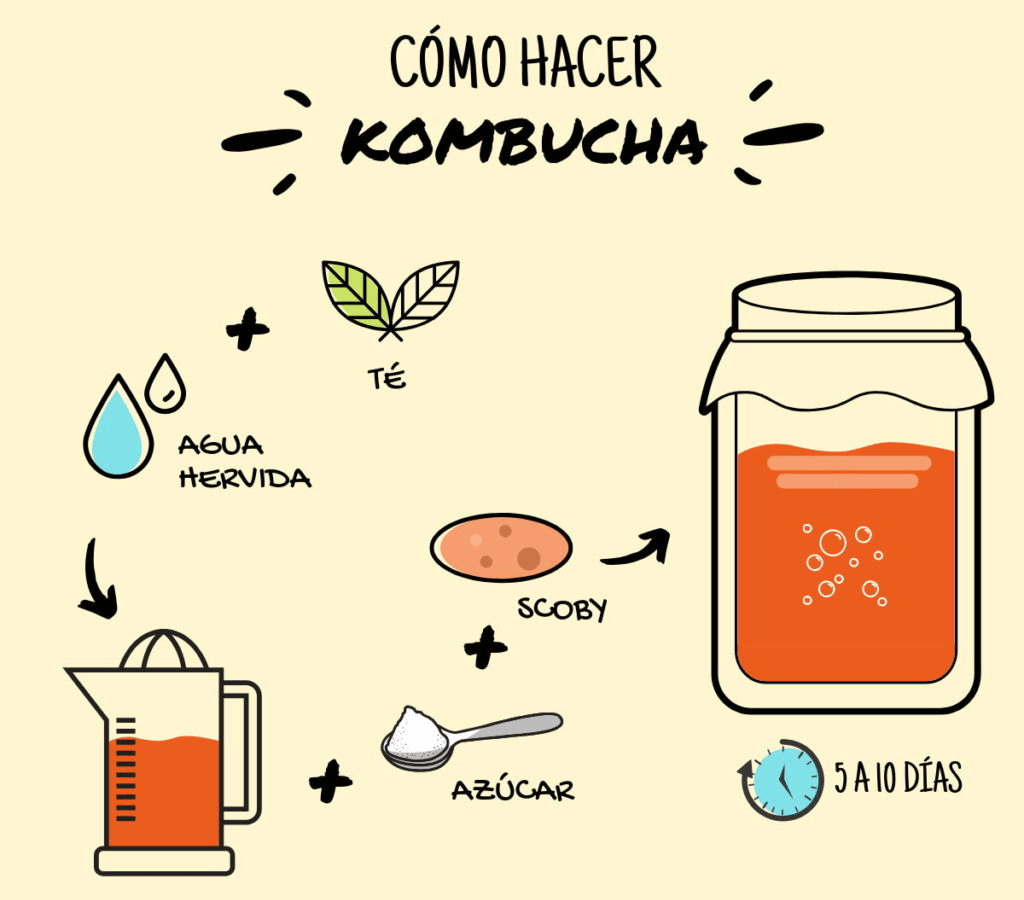 kombucha en el cuerpo