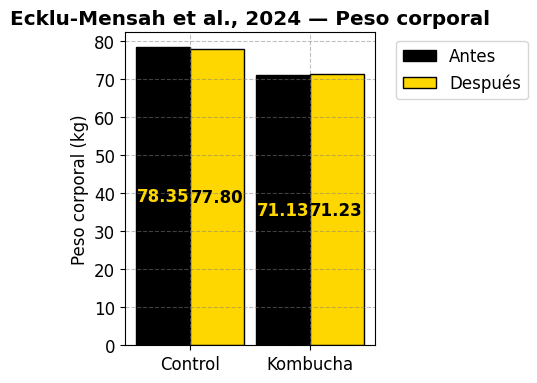 Kombucha en adultos sanos
