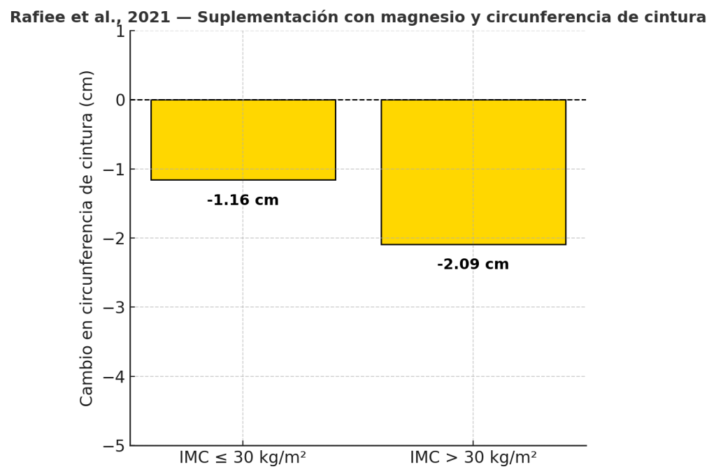 Estudio suplemento con magnesio