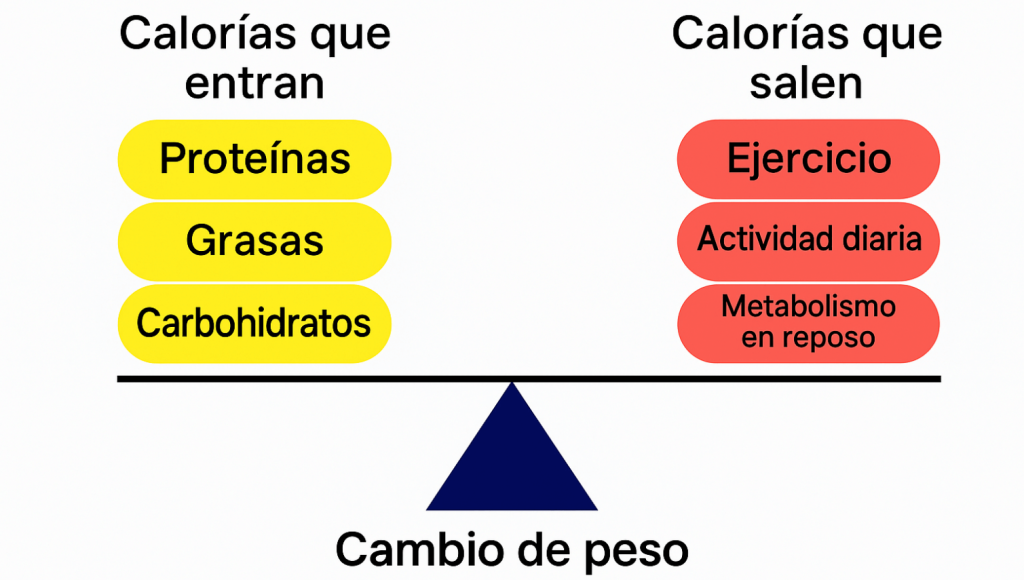 Balanza que enfrenta las calorías que entran (proteínas, grasas, carbohidratos) con las que salen (ejercicio, actividad diaria, metabolismo en reposo)