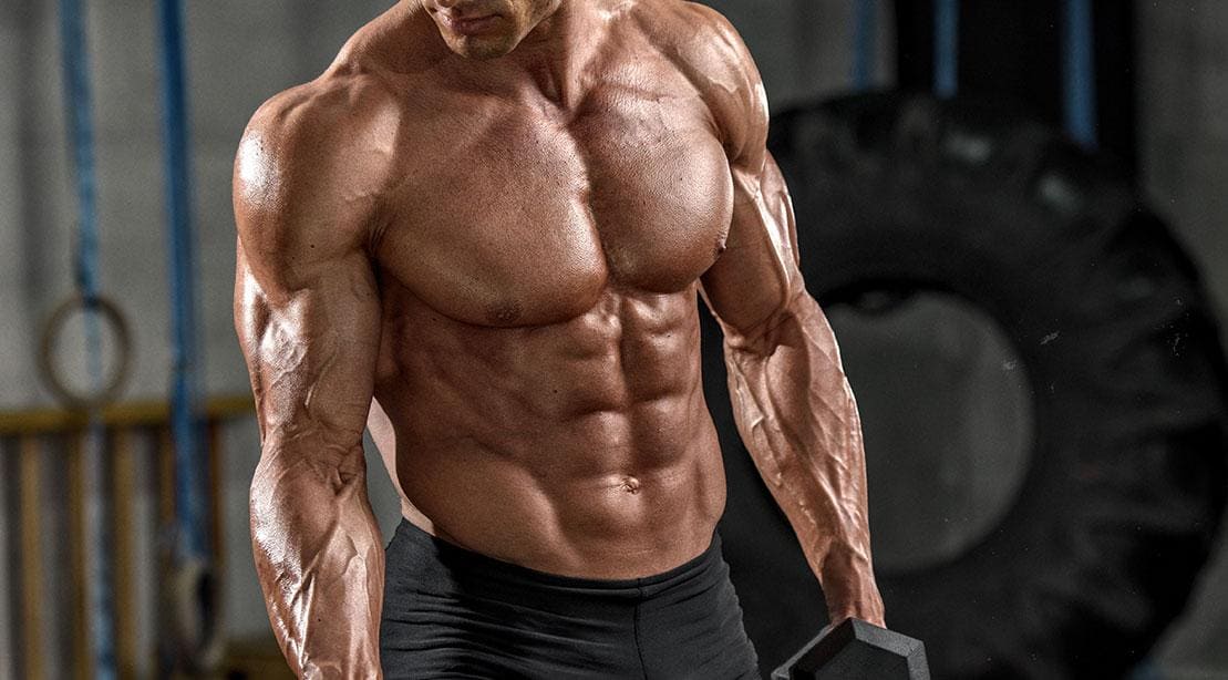 ABSI personas musculadas