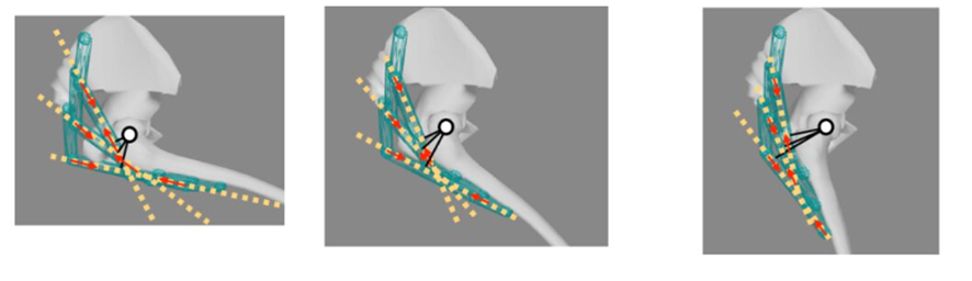 Patadas de glúteo vs. hip thrust, ¿cuál es mejor? 19 image 256