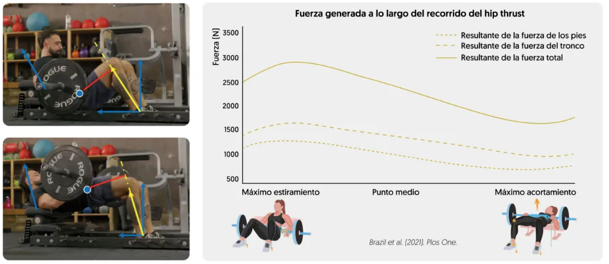 Patadas de glúteo vs. hip thrust, ¿cuál es mejor? 27 image 260