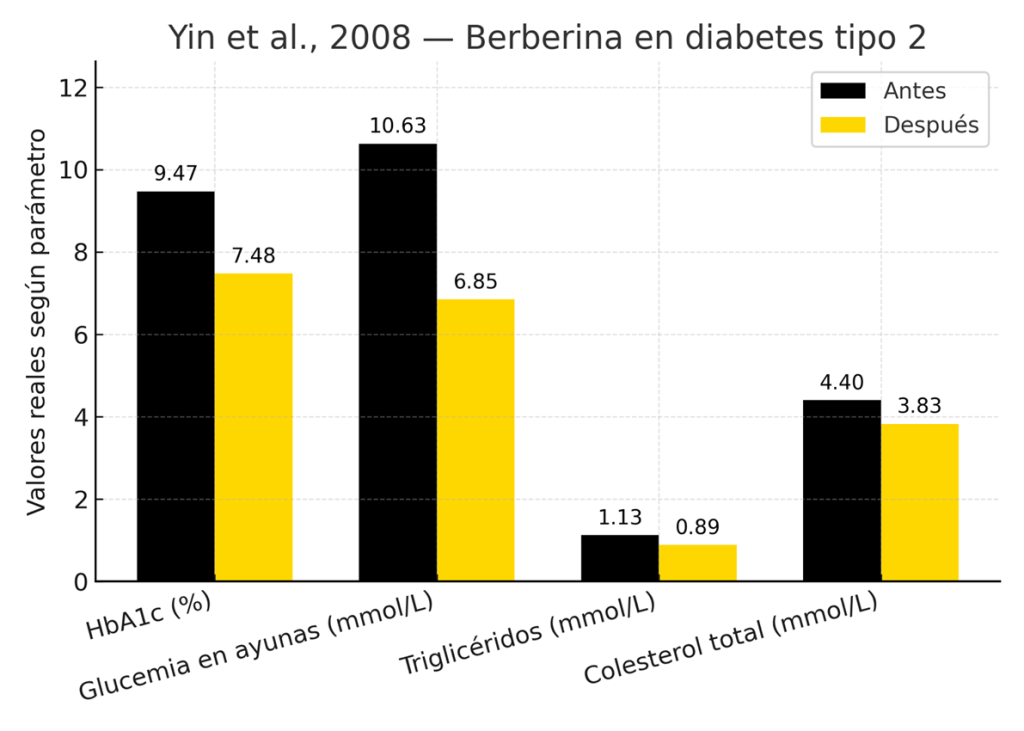 ¿Qué es la Berberina y cuáles son sus beneficios reales? 5 image 352