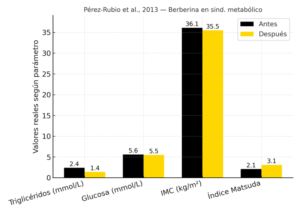 ¿Qué es la Berberina y cuáles son sus beneficios reales? 7 image 353