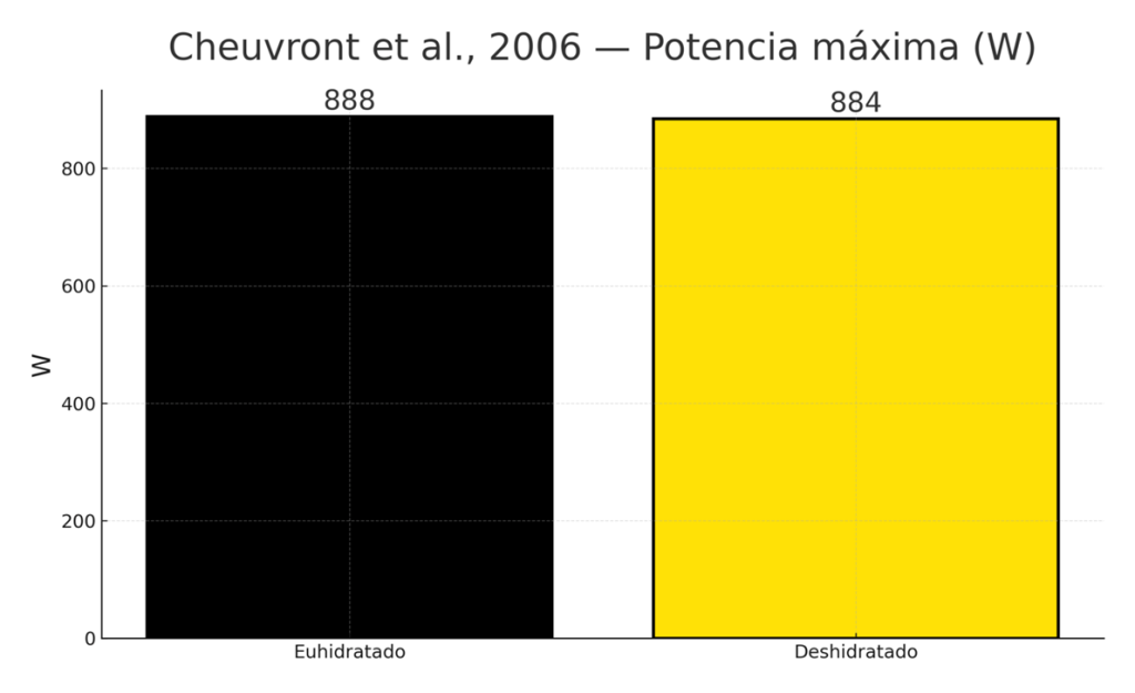 ¿Por qué beber agua es importante para los músculos? 7 image 458