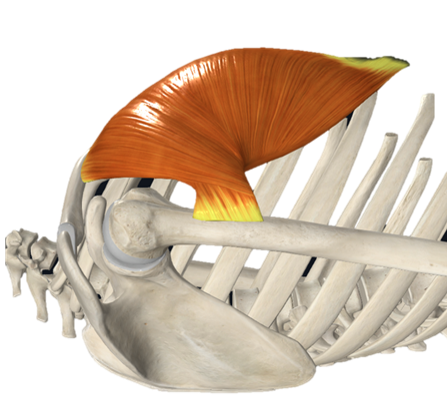 image 430