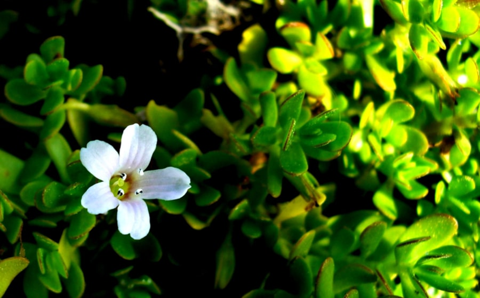 image 92
