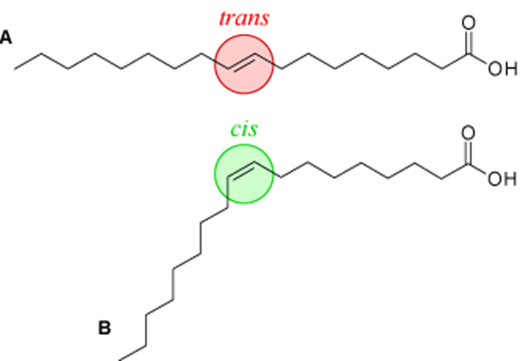 image 204