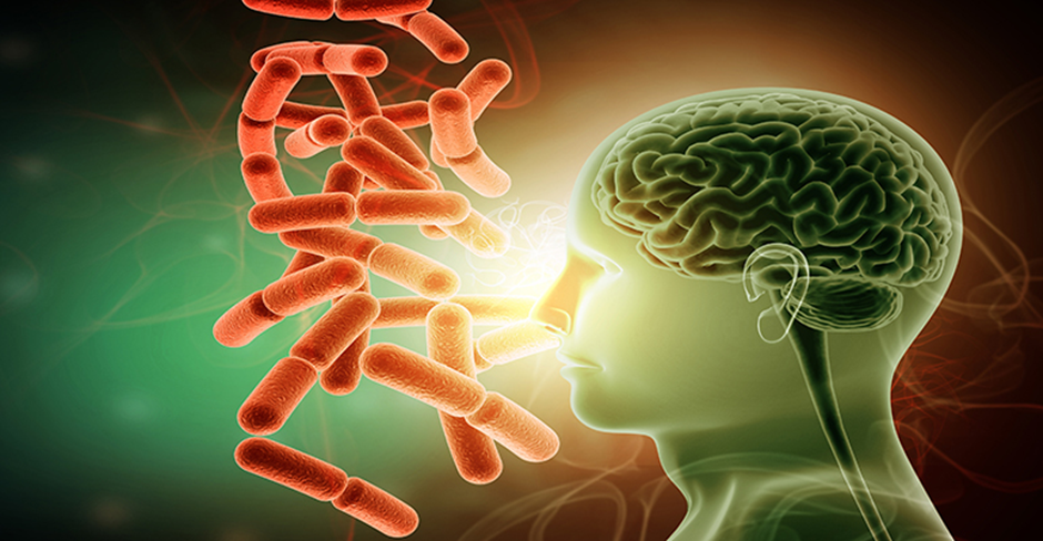 Cómo el intestino influye en la ansiedad, la depresión y la niebla mental 9 image 216