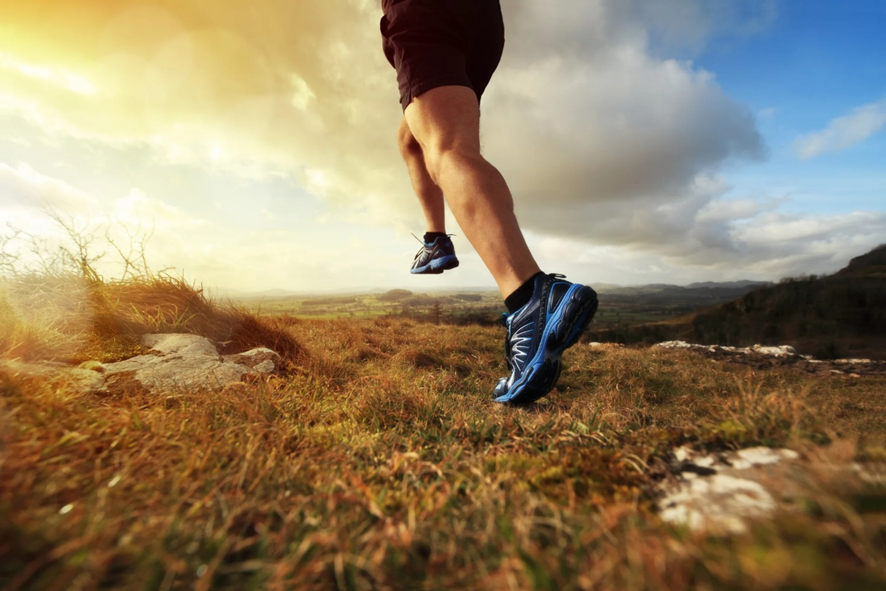 image 51
