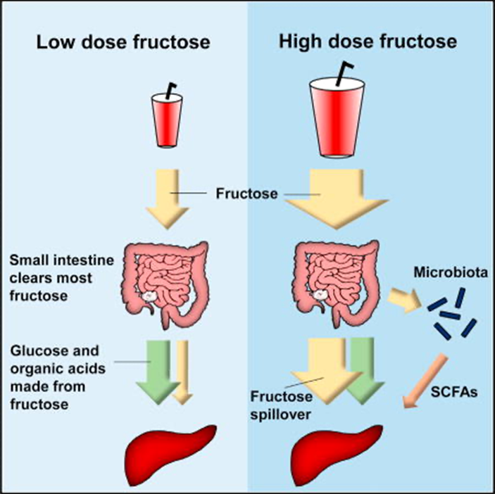 image 141