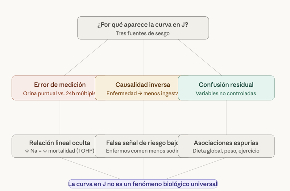 Sodio vs Potasio: el ratio fisiológico y el verdadero motor de la hipertensión 3 image 166