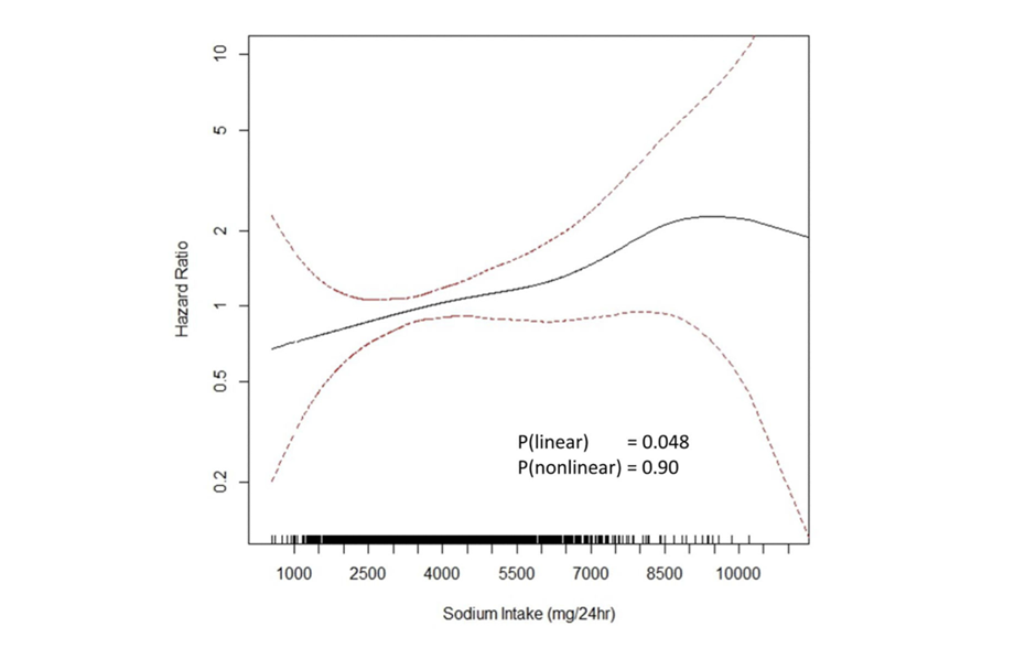 Sodio vs Potasio: el ratio fisiológico y el verdadero motor de la hipertensión 5 image 167