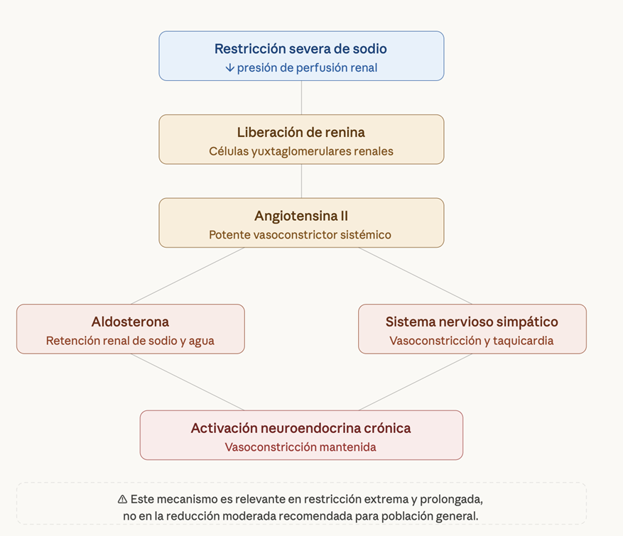 Sodio vs Potasio: el ratio fisiológico y el verdadero motor de la hipertensión 7 image 168