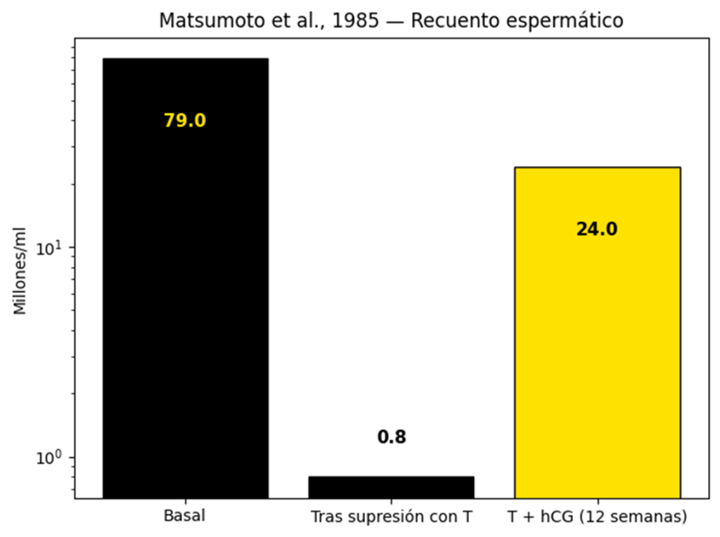 ¿Qué es y para que se usa la hCG en culturismo? 7 image 3