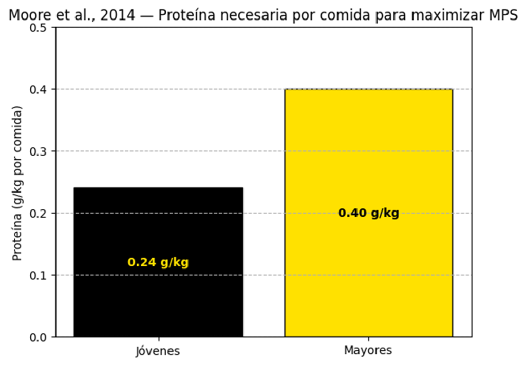 ¿Cómo influye la nutrición para evitar la pérdida de masa muscular después de los 50? 5 image 6