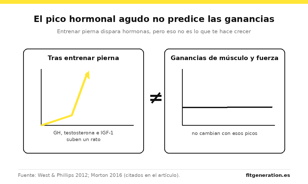 El pico agudo de hormona del crecimiento tras entrenar pierna no se correlaciona con las ganancias de músculo ni de fuerza