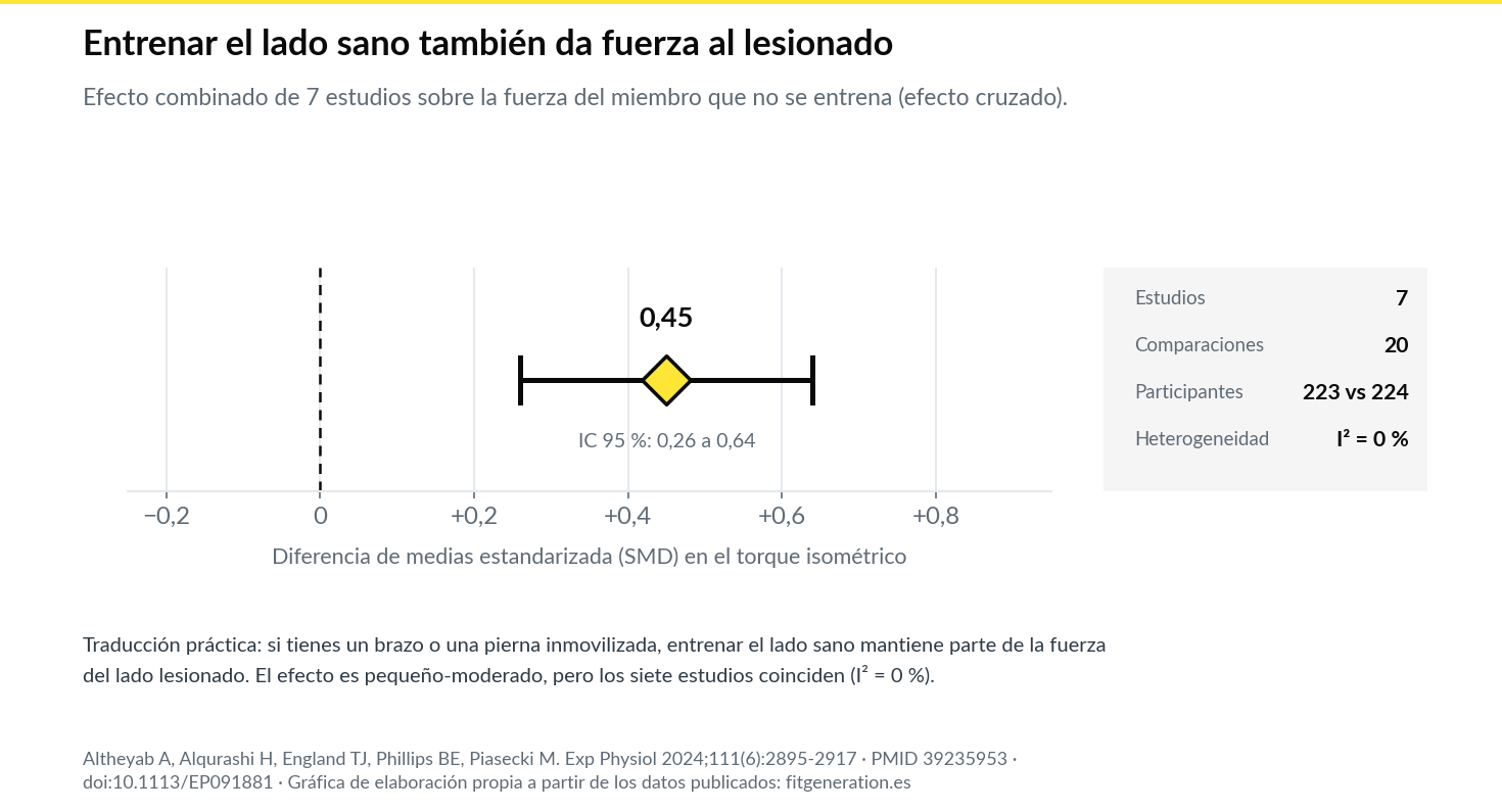 Gráfica: efecto combinado del entrenamiento del lado sano sobre la fuerza del miembro no entrenado
