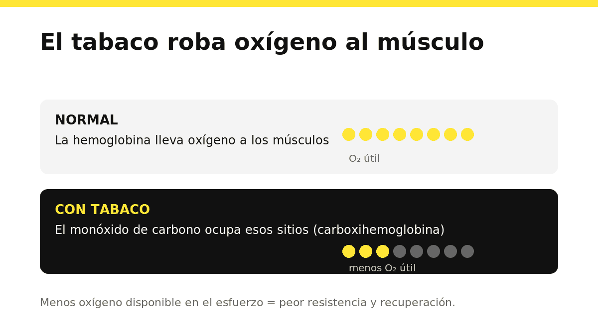 Esquema de la hemoglobina transportando oxígeno frente al monóxido de carbono ocupando su lugar y reduciendo el oxígeno útil