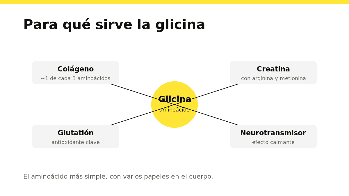 Esquema de las funciones de la glicina: colágeno, creatina, glutatión y neurotransmisor