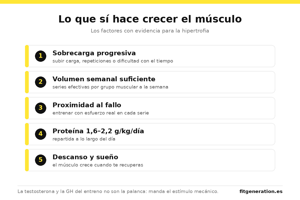 Esquema de lo que sí hace crecer el músculo: sobrecarga progresiva, volumen, proximidad al fallo, proteína y descanso